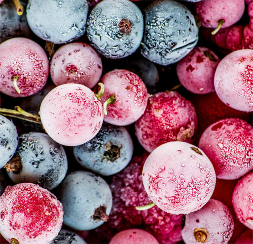 乌克兰冷冻莓果