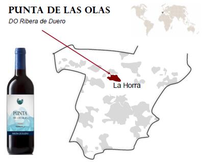 西班牙杜埃罗河岸法定产区PUNTA DE LAS OLAS葡萄酒（2015）