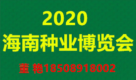 2020中国（海南）国际...